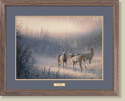 Trio Of Whitetail by Jim Kasper (image for) Trio Of Whitetail by Jim Kasper